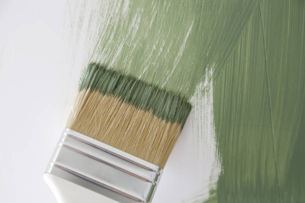 Best Attic Mold Removal  in Clermont, IN