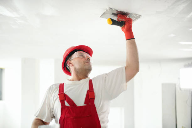 Best Airborne Mold Testing  in Clermont, IN