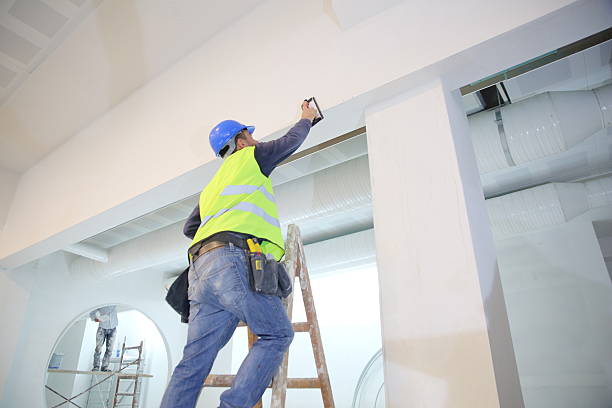 Best Emergency Mold Remediation  in Clermont, IN